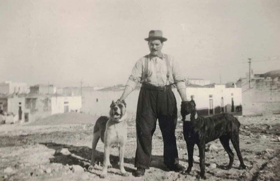 storia del cane corso