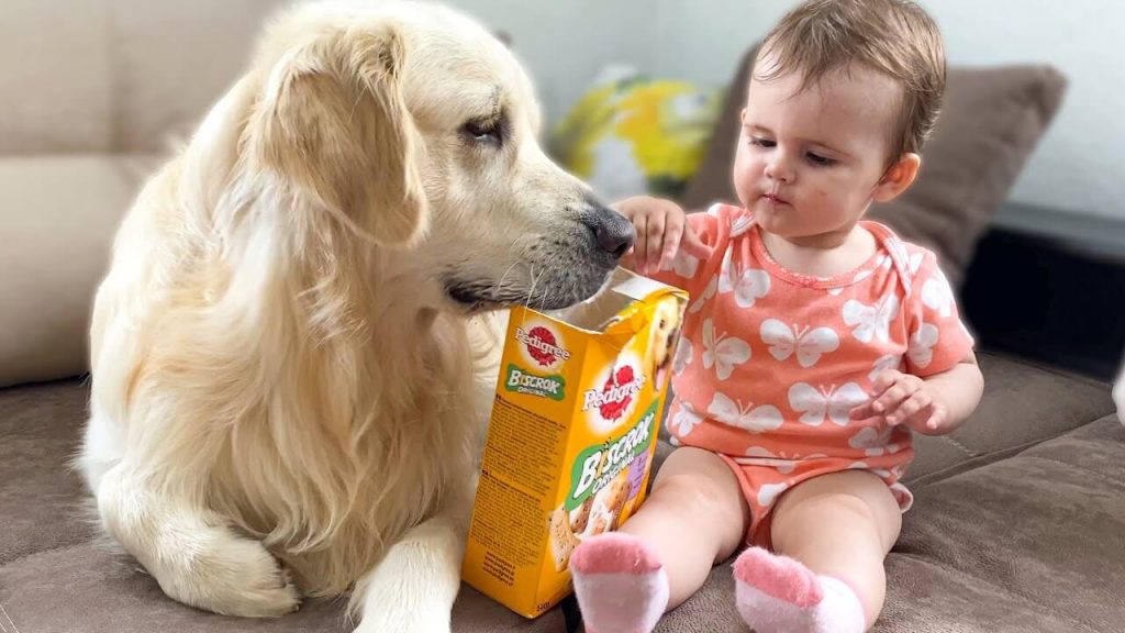 Comportamento in presenza di bambini e altri animali domestici