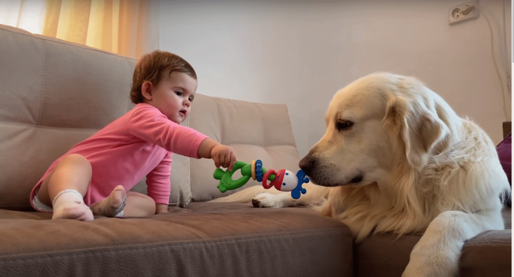 Comportamento in presenza di bambini e altri animali domestici