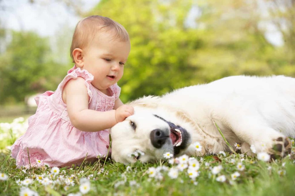 Comportamento in presenza di bambini e altri animali domestici
