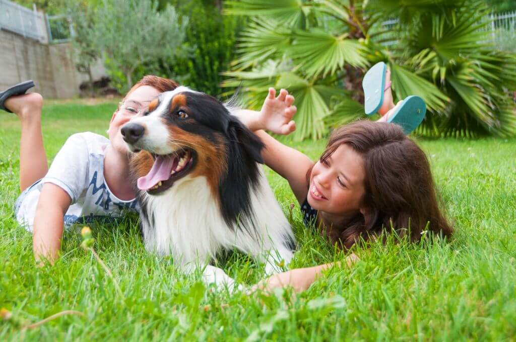 Comportamento con altri animali domestici e bambini