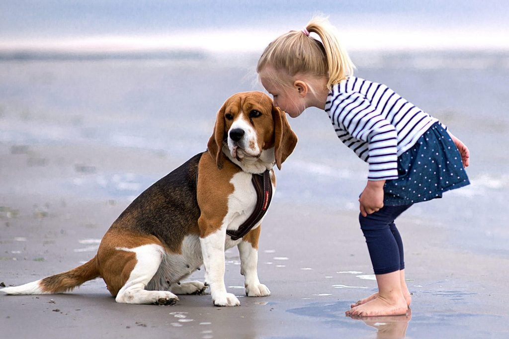 Comportamento in presenza di bambini e altri animali domestici