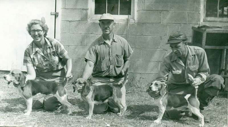 Storia e origini di Beagle