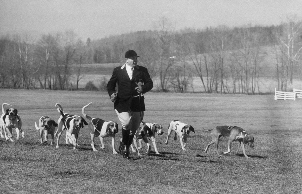 Storia e origini di Beagle