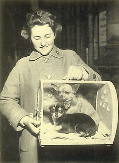 Storia di Chihuahua