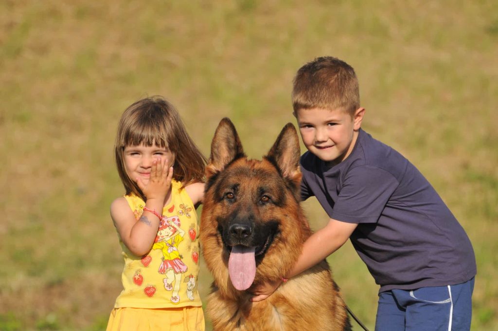 Comportamento intorno ai bambini e ad altri animali domestici