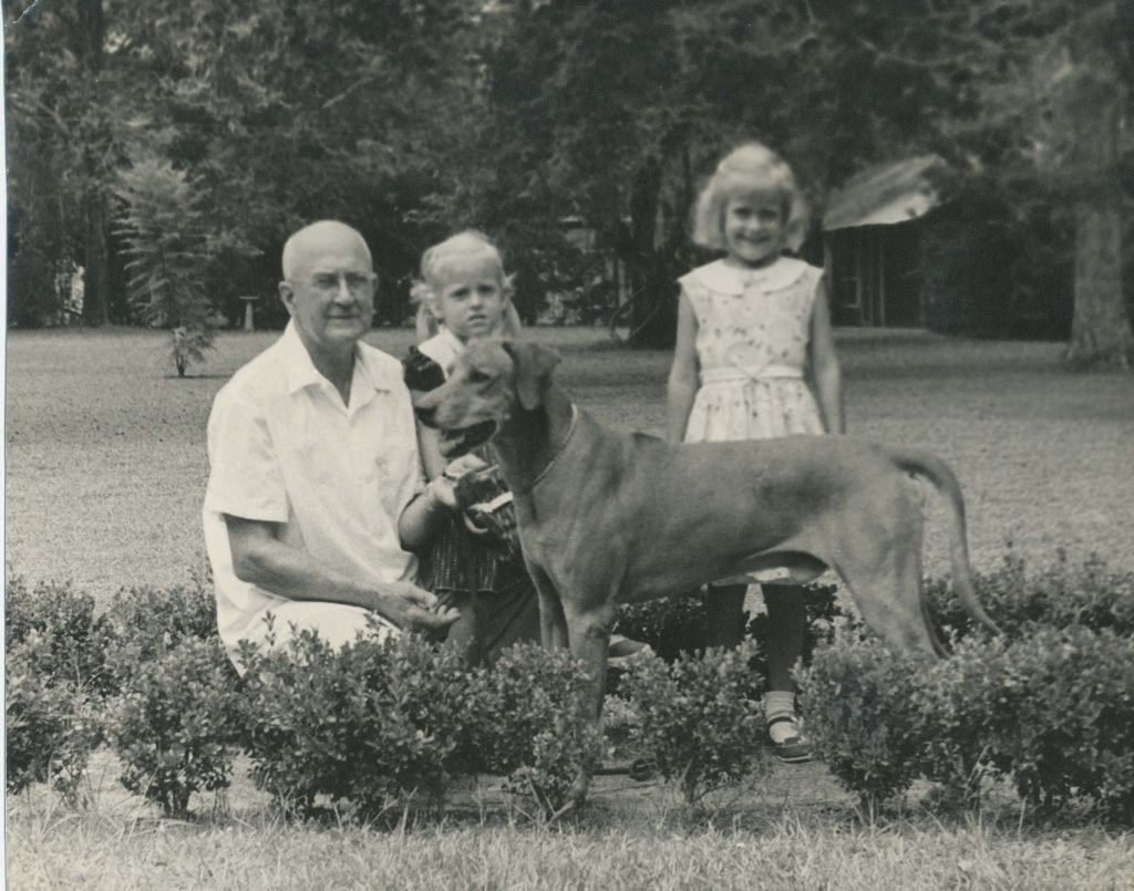 Storia e origine del cane Rhodesian Ridgeback