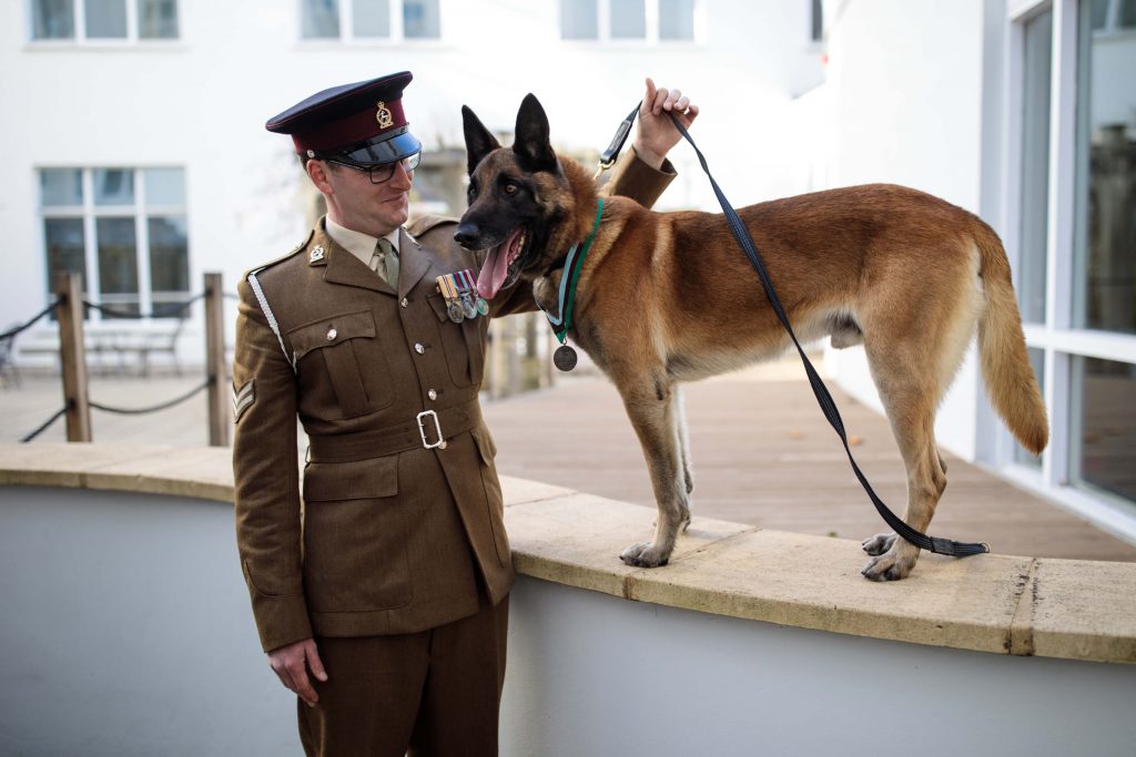 Formazione ed esercizio del cane da pastore belga Malinois