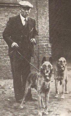 Storia e origine del pastore belga Malinois