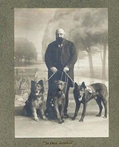 Storia e origine del pastore belga Malinois