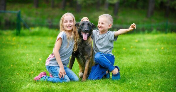 Comportamento con i bambini e altri animali domestici