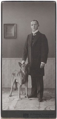 Storia e origine del pastore belga Malinois