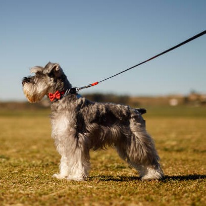 duplo train track black