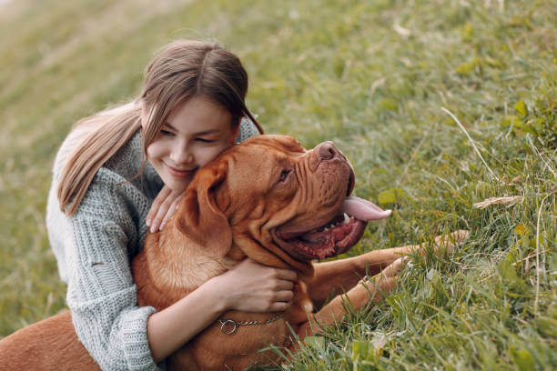Dogue de Bordeaux con bambini