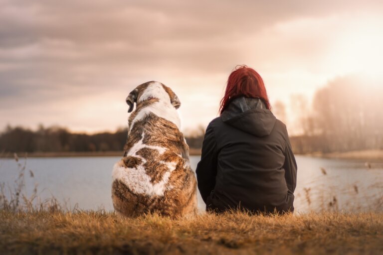 Assicurazione per cani : l'importanza della salute dei cuccioli